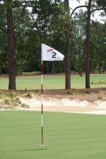 Pinehurst No2 2020 16th Flag Vertical